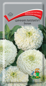 Цинния Лиллипут Белая купить