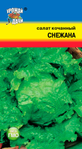 Салат Снежана кочанный  купить