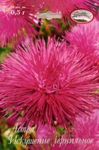 Астра Искушение чернильная/1шт купить