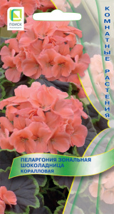 Пеларгония зональная Шоколадница Коралловая  купить
