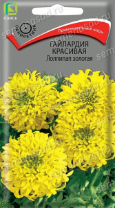 Гайлардия красивая Лоллипап золотая купить