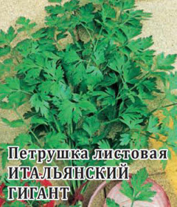 Петрушка листовая Итальянский гигант 50г купить