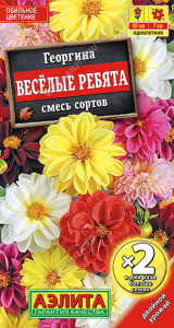 Георгина Веселые ребята, смесь окрасок (двойная граммовка)  купить