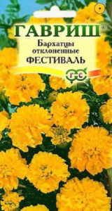 Бархатцы Фестиваль отклоненные купить