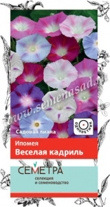 Ипомея Веселая кадриль купить