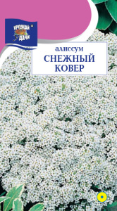 Алиссум Снежный ковер купить