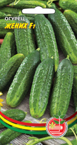Огурец Жених F1 купить