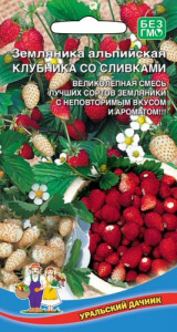 Земляника альпийская Клубника со сливками  купить