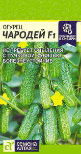 Огурец Чародей F1 купить