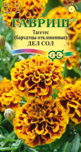 Бархатцы Дел Сол  отклоненные купить