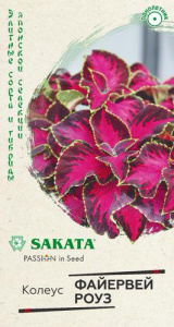 Колеус Файервей Роуз  купить