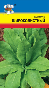 Щавель Широколистный  купить