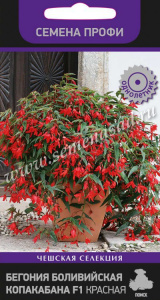 Бегония Боливийская Копакабана F1 Красная купить