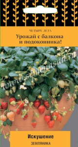 Земляника Искушение купить