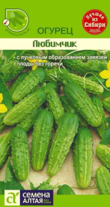 Огурец Любимчик купить