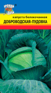 Капуста Доброводская - пудовка  купить