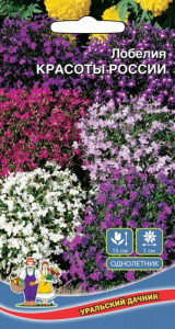 Лобелия Красоты России  купить