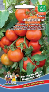 Томат Ивановна  купить