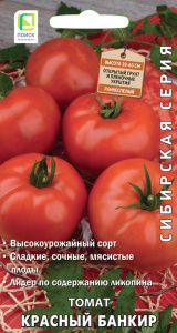 Томат Красный банкир купить