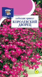 Лобелия Королевский дворец  купить