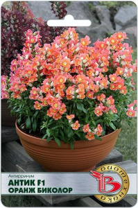 Антирринум Антик F1 Оранж Биколор купить