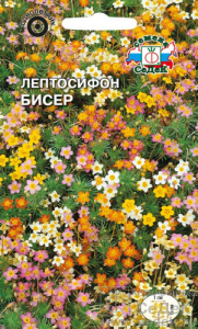 Лептосифон Бисер, смесь цветов  купить