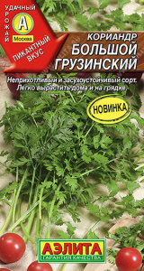 Кориандр Большой грузинский купить