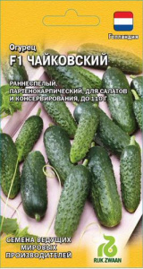 Огурец Чайковский F1 (Голландия)  купить