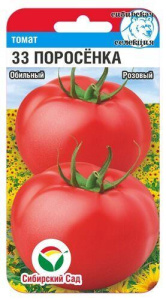 Томат 33 поросенка купить