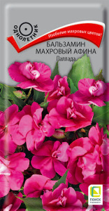 Бальзамин Афина F1 Паллада махр. купить
