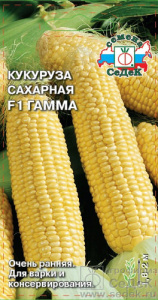 Кукуруза Гамма  купить
