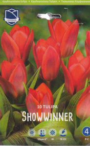 Тюльпан Кауфманиана "Showwinner" (1х10шт) купить