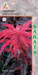 Амарант Эрли Сплендор 30шт купить