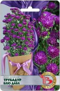 Астра Трубадур Блю Дабл китайская купить