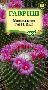 Маммиллярия Толука (Кактус) Сан пико купить