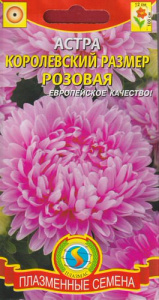 Астра Королевский размер Розовая  купить