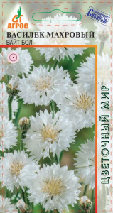 Василек Вайт Бол купить