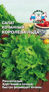 Салат Королева льда  кочанный купить