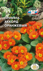 Примула Аккорд оранжевый бесстебельная купить