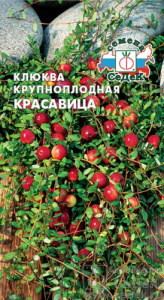 Клюква  Красавица  купить