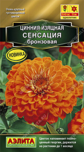 Цинния Сенсация Бронзовая махровая  купить