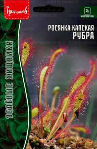 Росянка Рубра капская (Хищник) купить