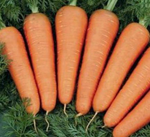 Морковь Каскад 1г купить