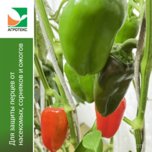 Агротекс ком-т д/перцев (желто-черный 80/1,06*6м перф.2шах 25*25*8+белый 30-3,2-8м+колышки 10 унив.) купить