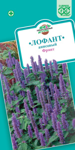 Лофант Франт  купить
