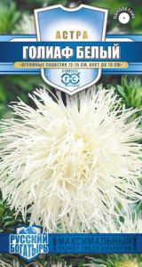 Астра Голиаф белая Русский богатырь купить