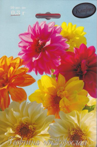 Георгина низкорослая, смесь п.3157 /1шт купить