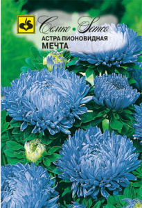 Астра Мечта пионовидная купить