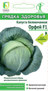Капуста Орфей F1 Грядка здоровья купить