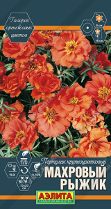 Портулак Махровый Рыжик крупноцветковый купить